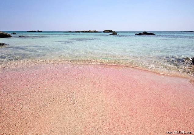 Bãi biển Pink