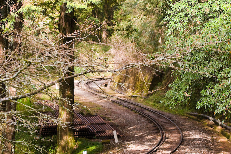 Tiger Air | Đại lý Tiger Airways | Phòng vé Tiger Airways