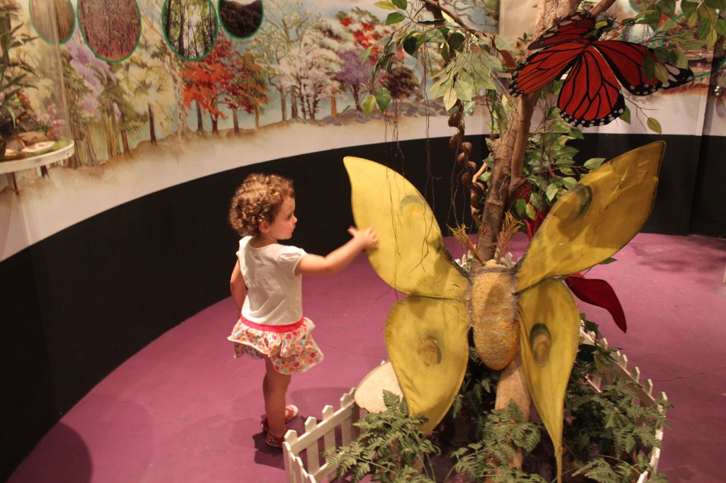 Tiger Air | Đại lý Tiger Airways | Phòng vé Tiger Airways