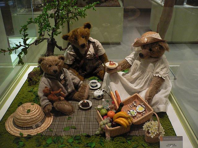 Viện bảo tàng gấu bông Teddy