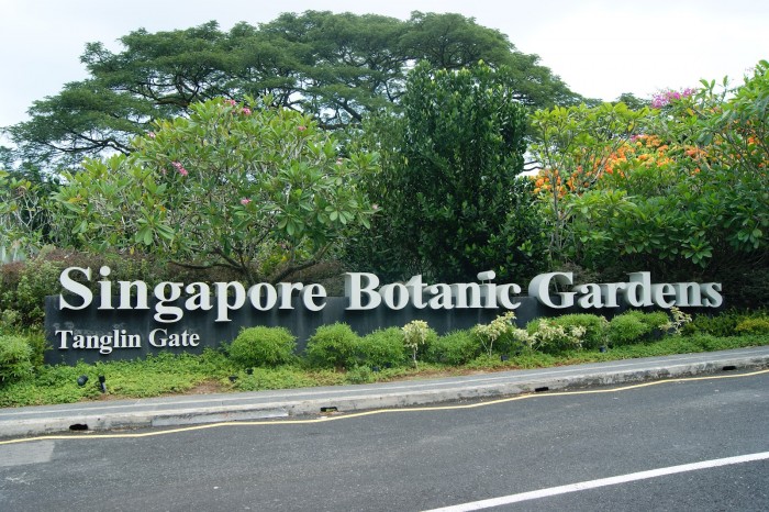 vườn bách thảo Botanic Garden