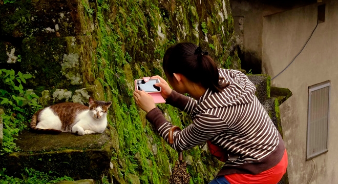 làng mèo Houtong Đài Loan 2