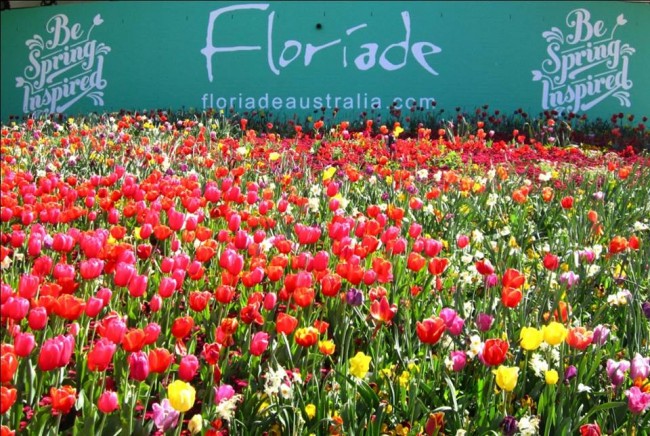 lễ hội Floriade