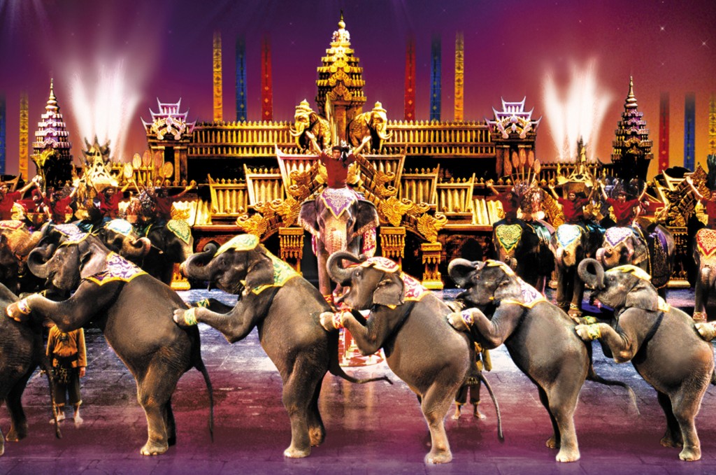 Tiger Air | Đại lý Tiger Airways | Phòng vé Tiger Airways