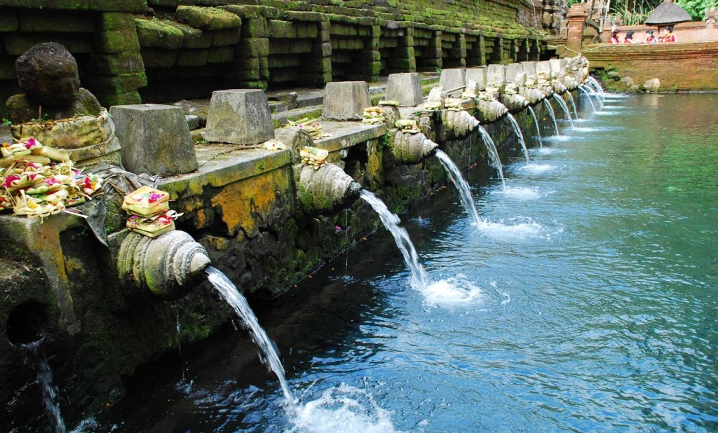 Tiger Air | Đại lý Tiger Airways | Phòng vé Tiger Airways