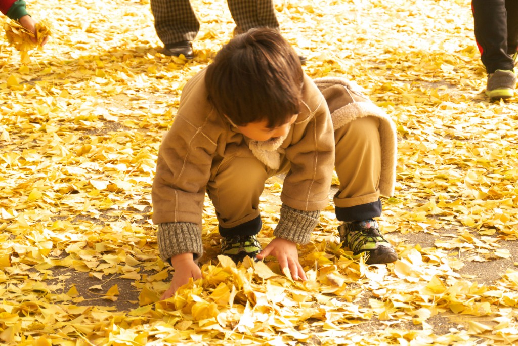 Tiger Air | Đại lý Tiger Airways | Phòng vé Tiger Airways