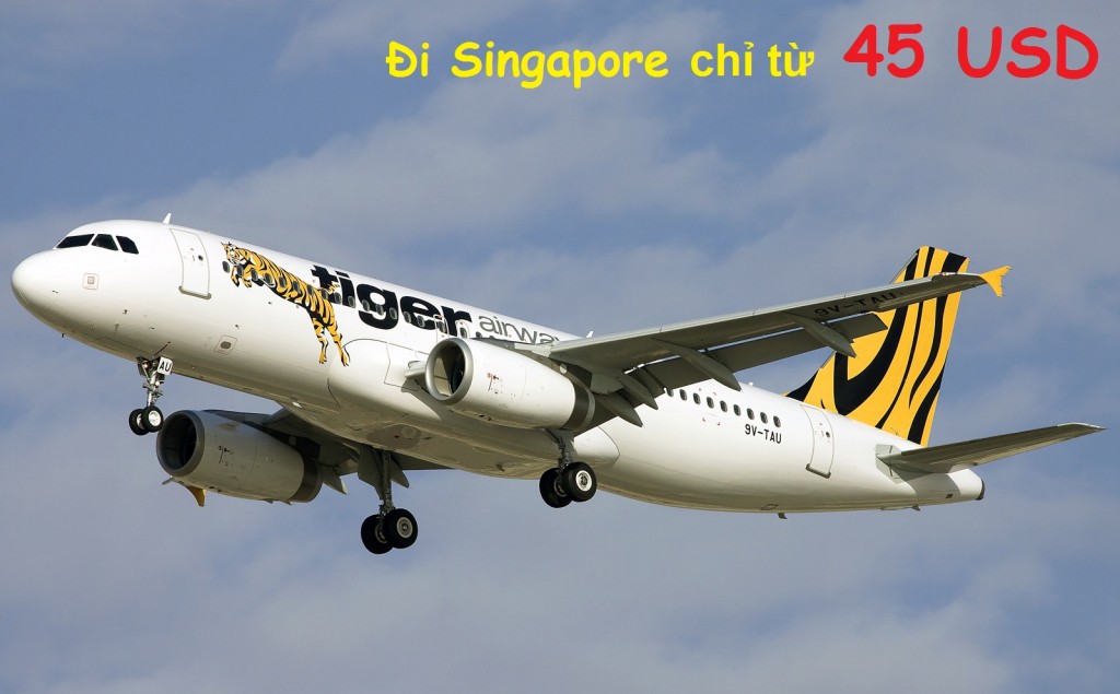 Tiger Air | Đại lý Tiger Airways | Phòng vé Tiger Airways