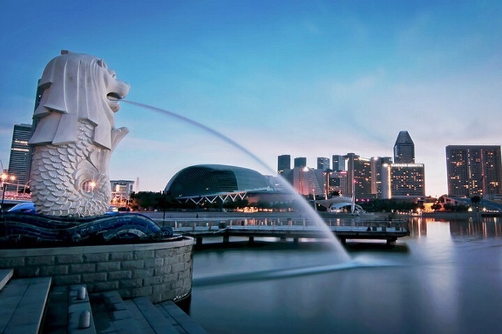 Tiger Air | Đại lý Tiger Airways | Phòng vé Tiger Airways