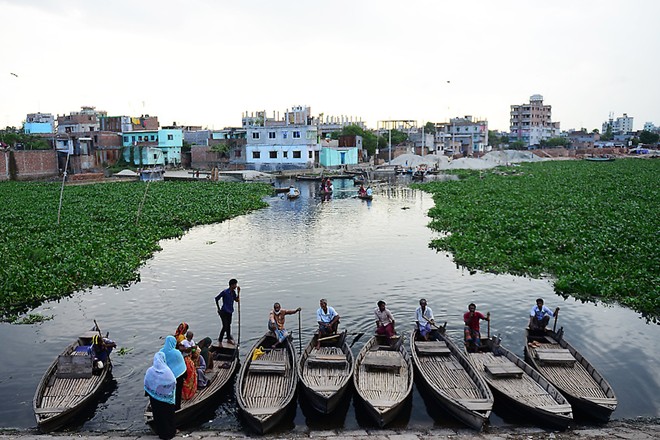 Tiger Air | Đại lý Tiger Airways | Phòng vé Tiger Airways