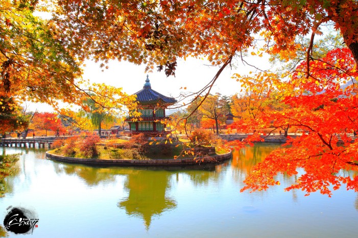 Mùa thu Hàn Quốc