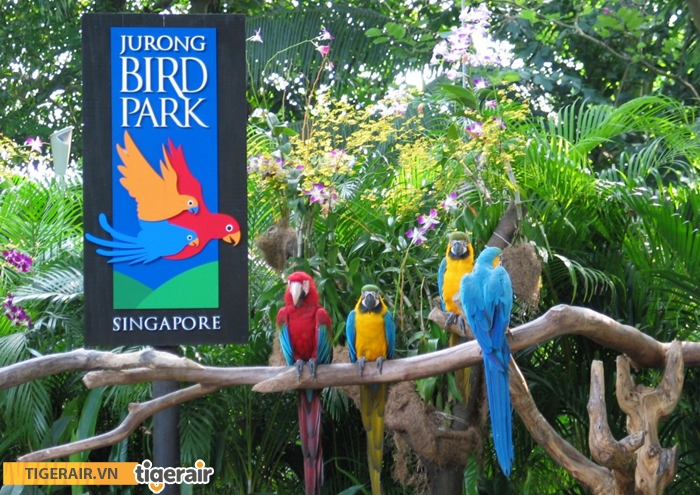 vuon chim Jurong Bird