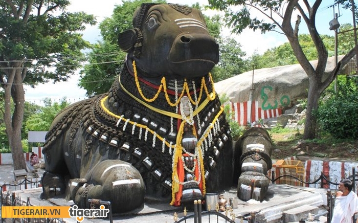 Đền Bull Bangalore