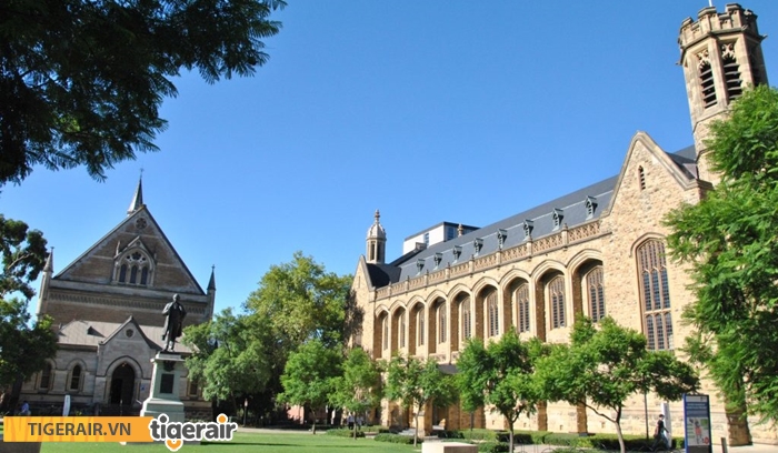 Trường đại học Adelaide