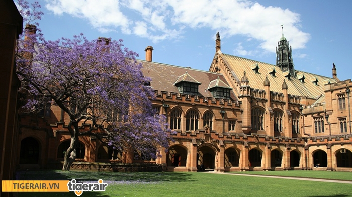 Trường đại học Sydney