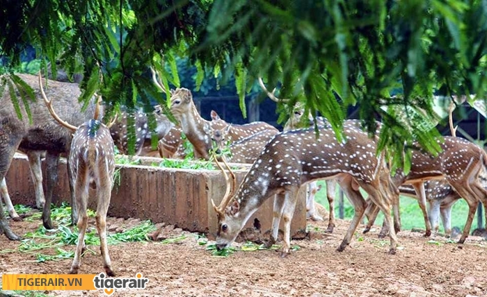 Sở thú Dhaka